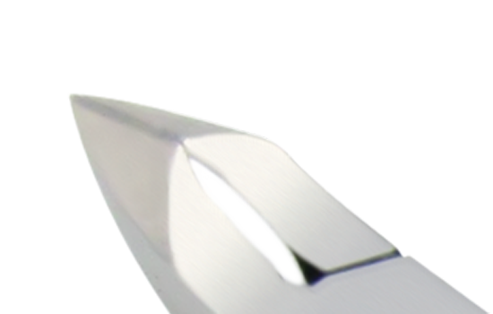 ECIS head
